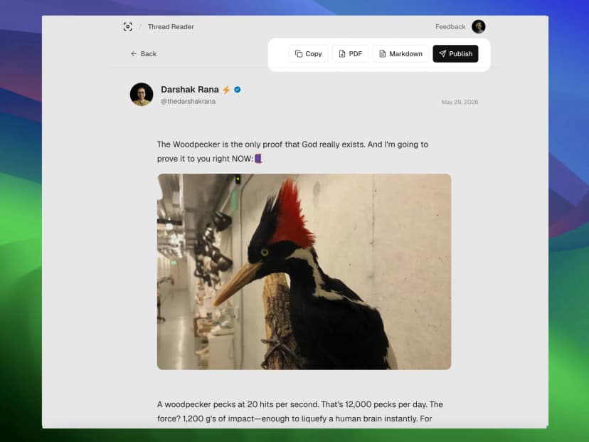 Download Twitter thread as PDF file