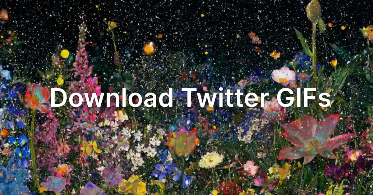 Download Twitter GIFs
