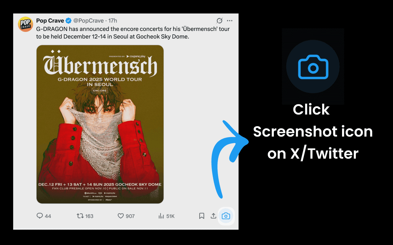 Click Screenshot icon on X/Twitter