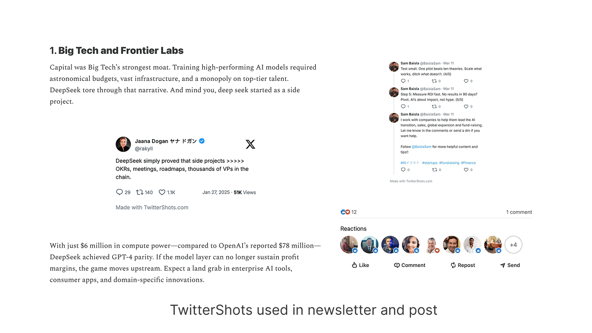 twittershots used in newsletter post